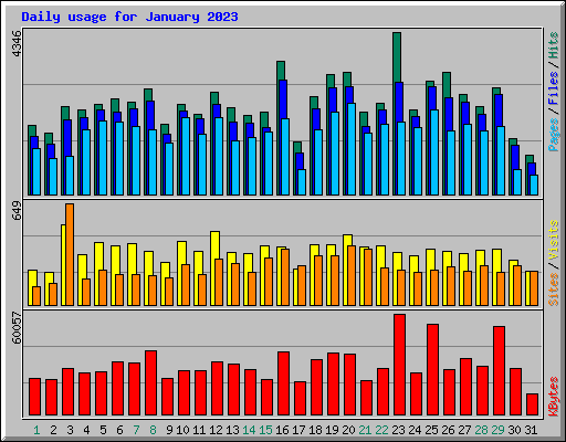 Daily usage for January 2023