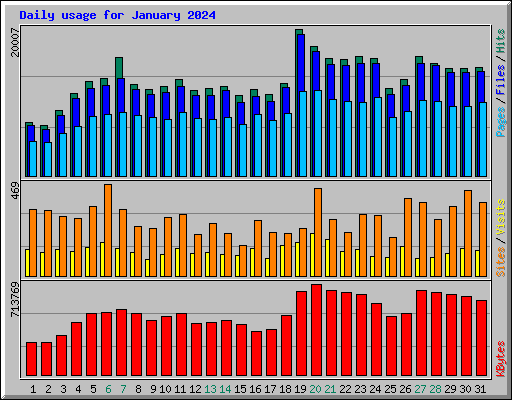 Daily usage for January 2024