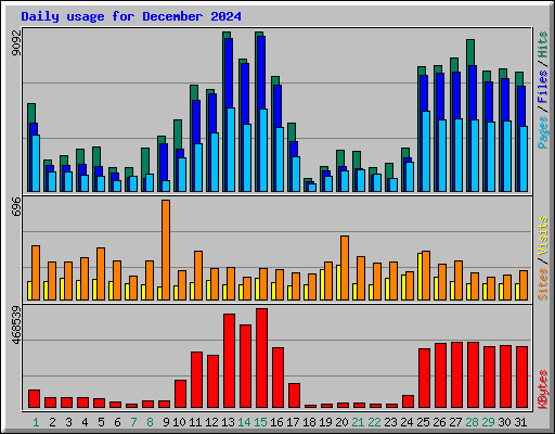 Daily usage for December 2024