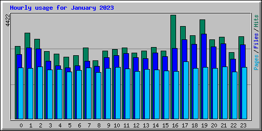 Hourly usage for January 2023