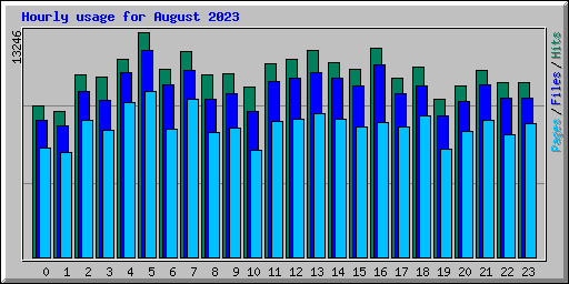 Hourly usage for August 2023