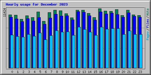 Hourly usage for December 2023
