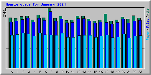 Hourly usage for January 2024