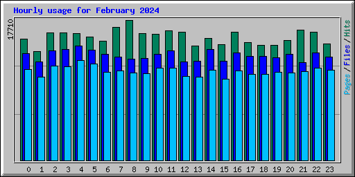 Hourly usage for February 2024