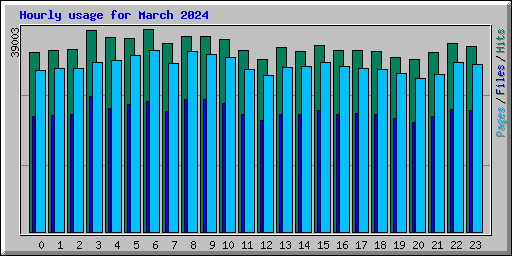 Hourly usage for March 2024