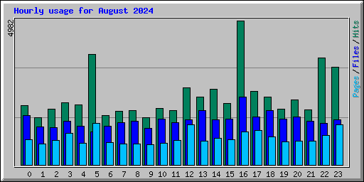 Hourly usage for August 2024