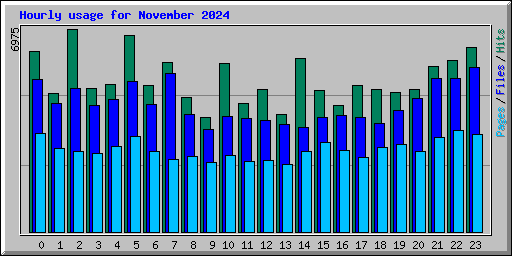 Hourly usage for November 2024