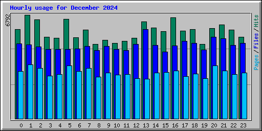 Hourly usage for December 2024