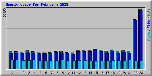 Hourly usage for February 2025