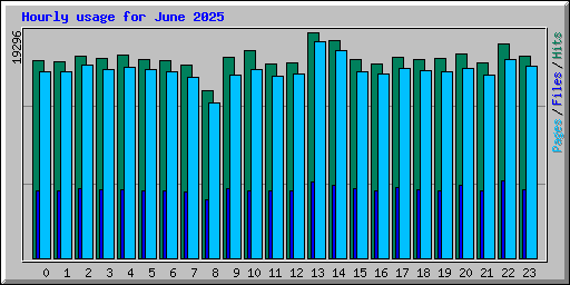 Hourly usage for June 2025